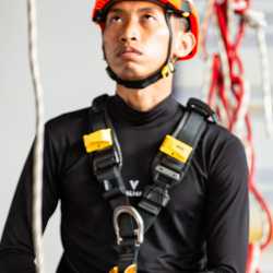 Daud
